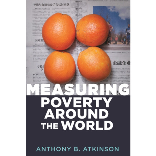 Princeton University Press Measuring Poverty around the World (inbunden, eng)