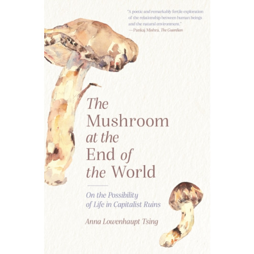 Princeton University Press The Mushroom at the End of the World (häftad, eng)