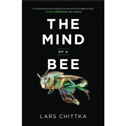 Princeton University Press The Mind of a Bee (häftad, eng)