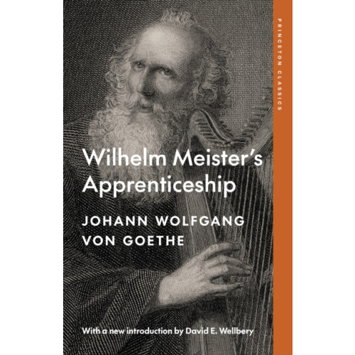 Princeton University Press Wilhelm Meister's Apprenticeship (häftad, eng)