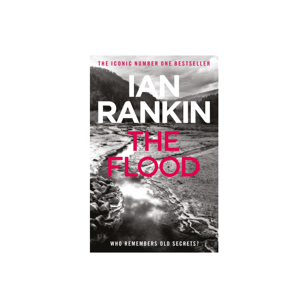 Produktbild för The Flood (häftad, eng)