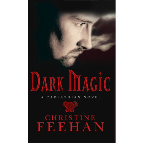 Little, Brown Book Group Dark Magic (häftad, eng)