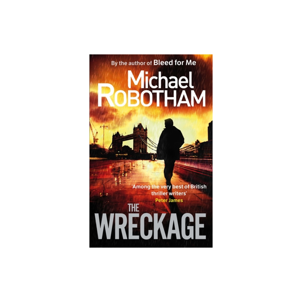 Produktbild för The Wreckage (häftad, eng)