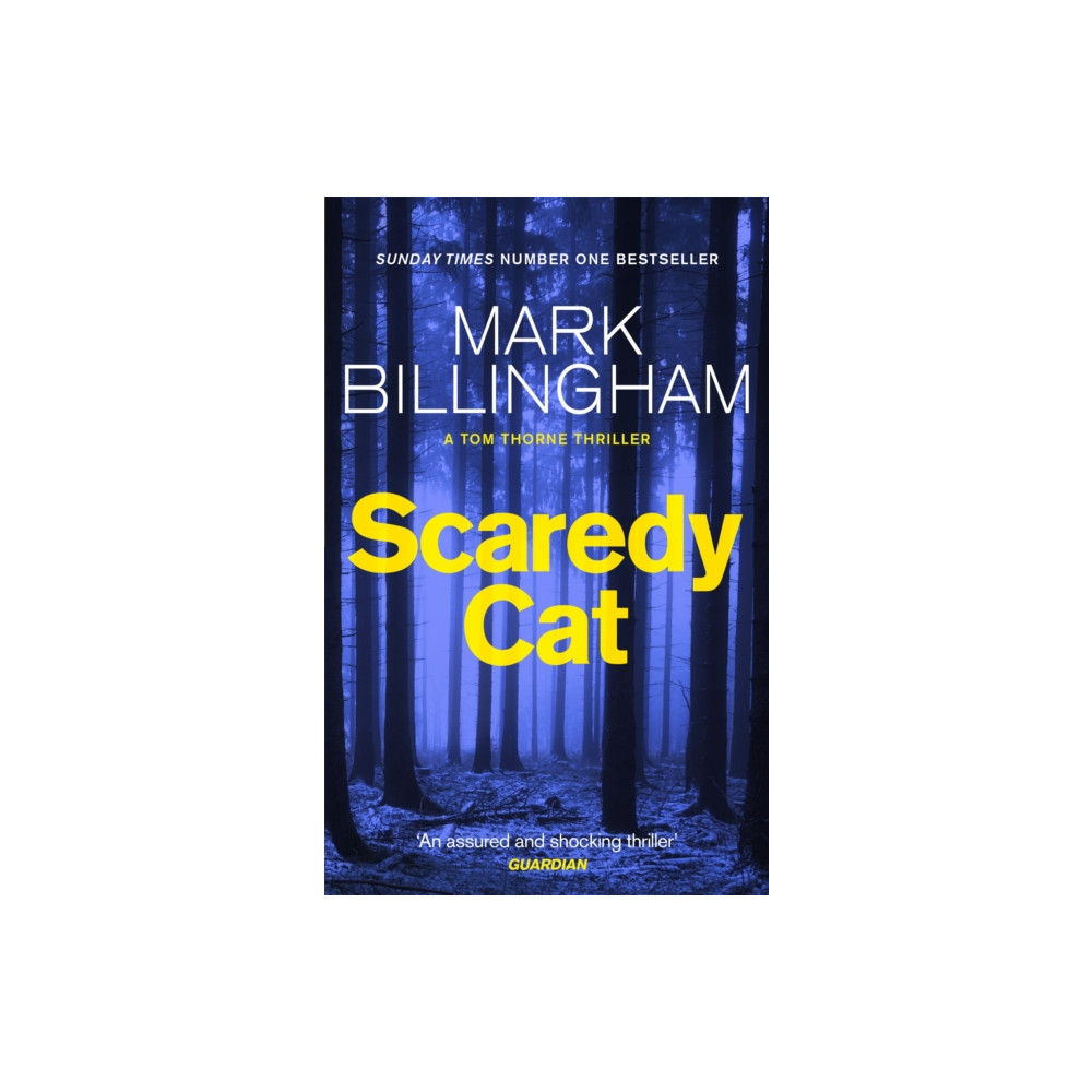 Produktbild för Scaredy Cat (häftad, eng)