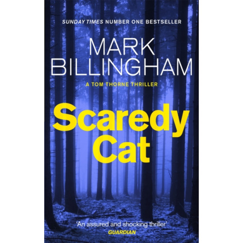 Little, Brown Book Group Scaredy Cat (häftad, eng)