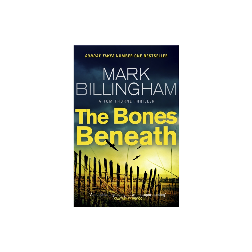 Produktbild för The Bones Beneath (häftad, eng)