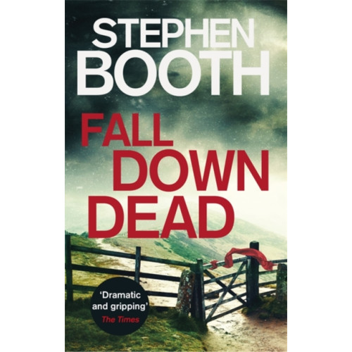 Little, Brown Book Group Fall Down Dead (häftad, eng)