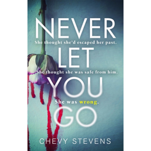 Never Let You Go , Little, Brown Book Group (häftad, english)