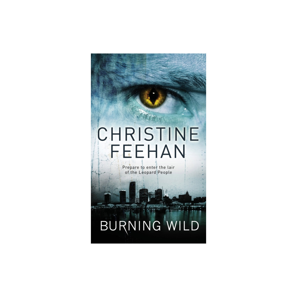 Produktbild för Burning Wild (häftad, eng)
