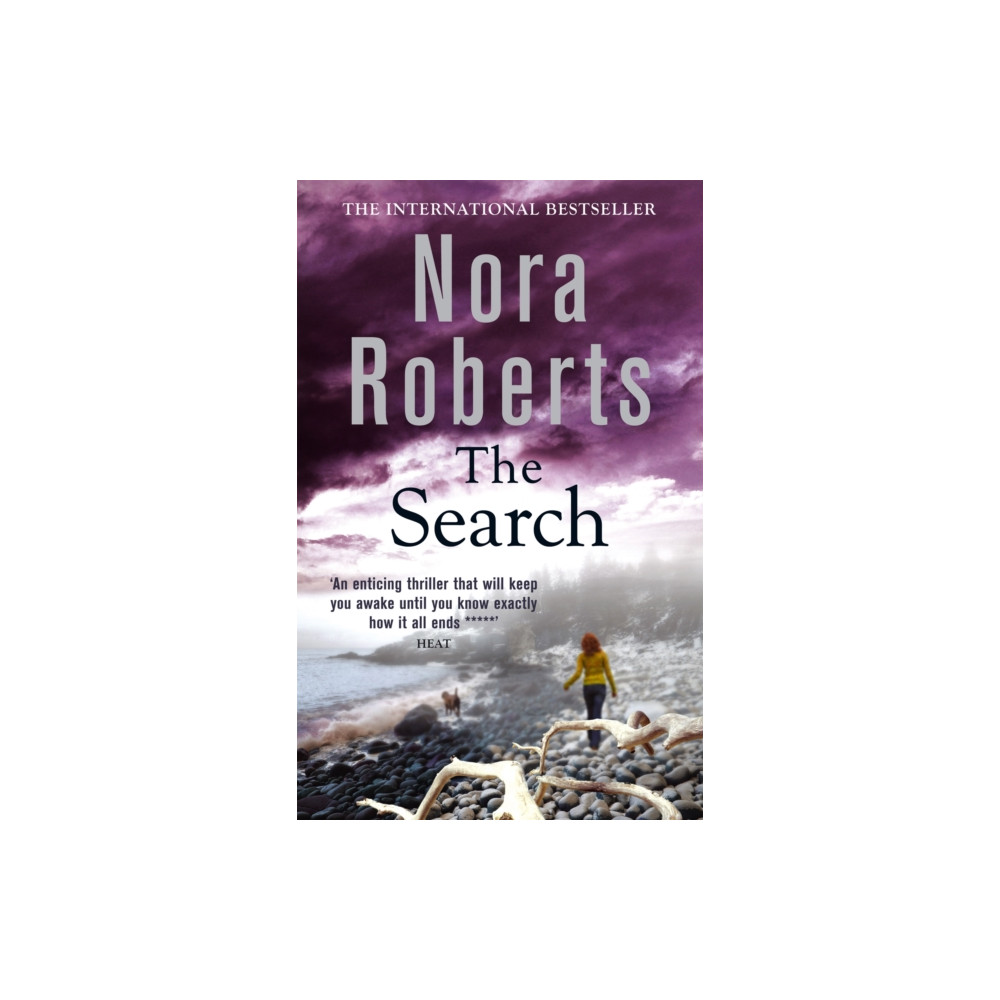Produktbild för The Search (häftad, eng)