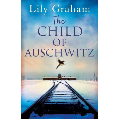 Little, Brown Book Group The Child of Auschwitz (häftad, eng)