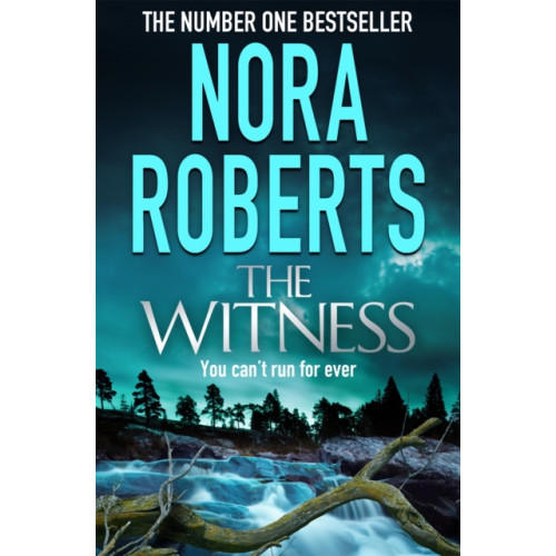 Little, Brown Book Group The Witness (häftad, eng)
