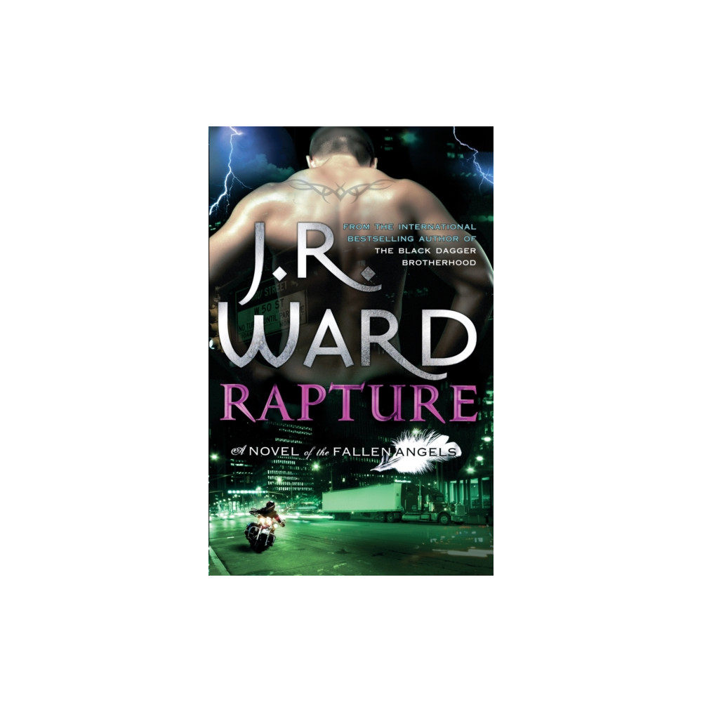 Produktbild för Rapture (häftad, eng)