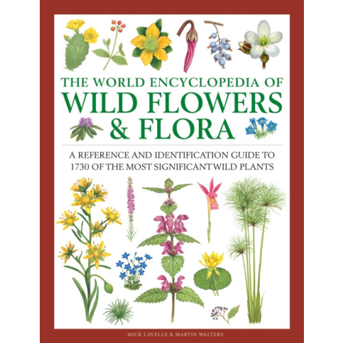 Anness publishing Wild Flowers & Flora, The World Encyclopedia of (inbunden, eng)