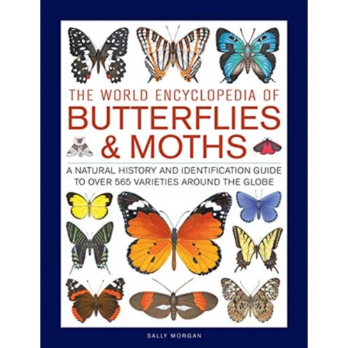 Anness publishing Butterflies & Moths, The World Encyclopedia of (inbunden, eng)