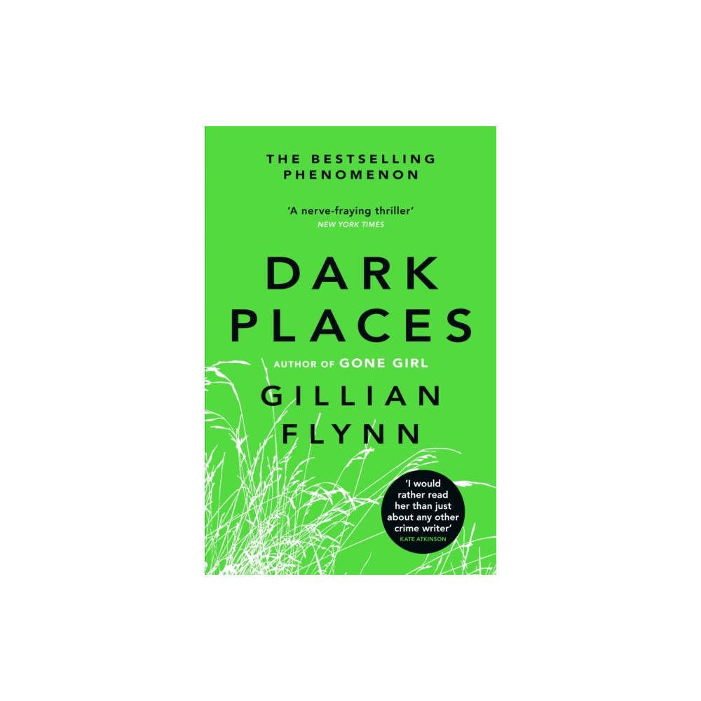 Produktbild för Dark Places (häftad, eng)