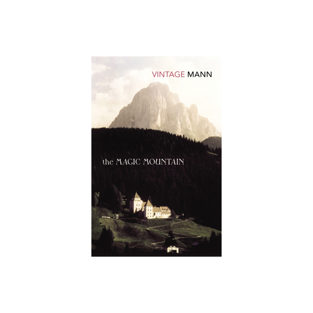 Produktbild för The Magic Mountain (häftad, eng)