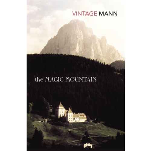 Vintage Publishing The Magic Mountain (häftad, eng)