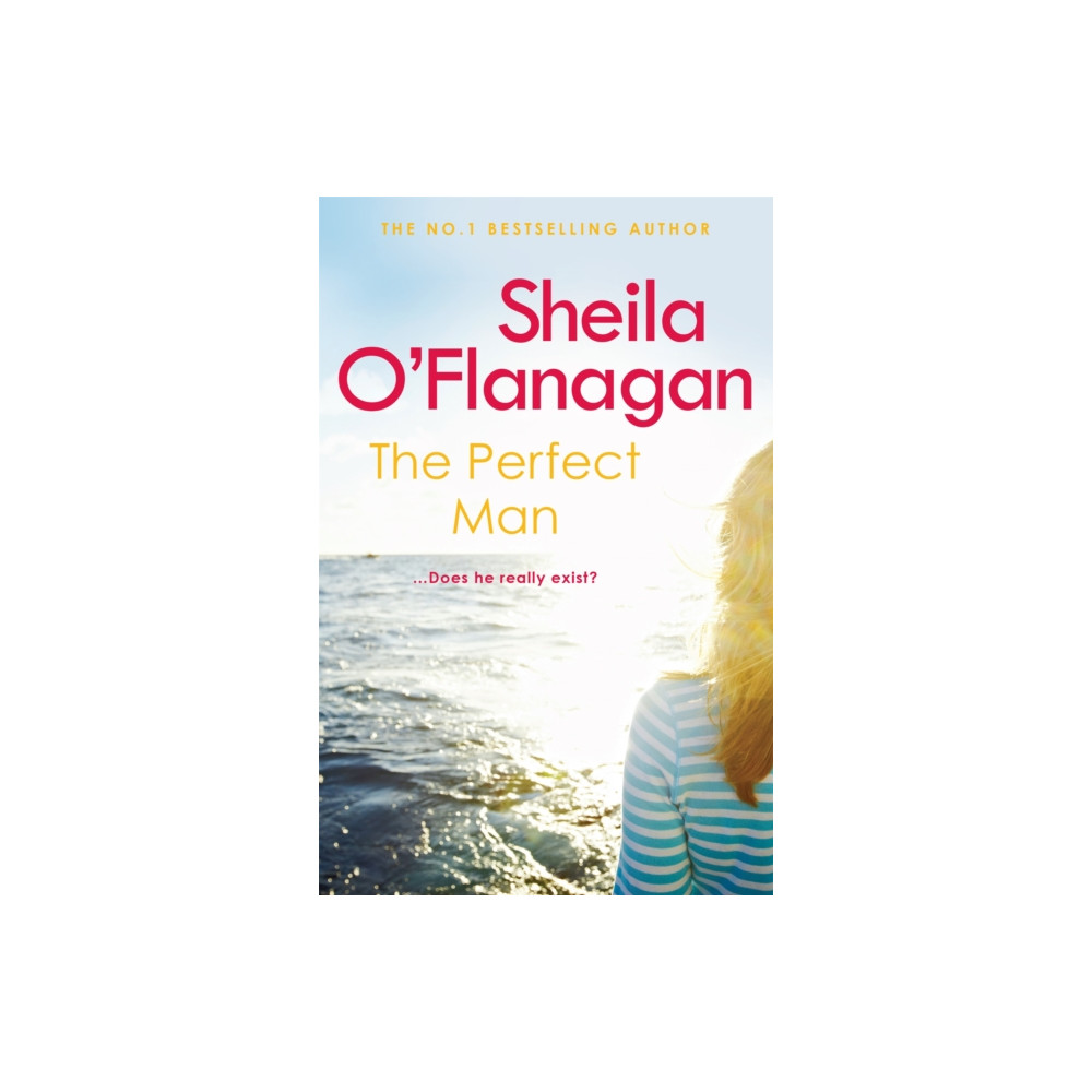 Produktbild för The Perfect Man (häftad, eng)