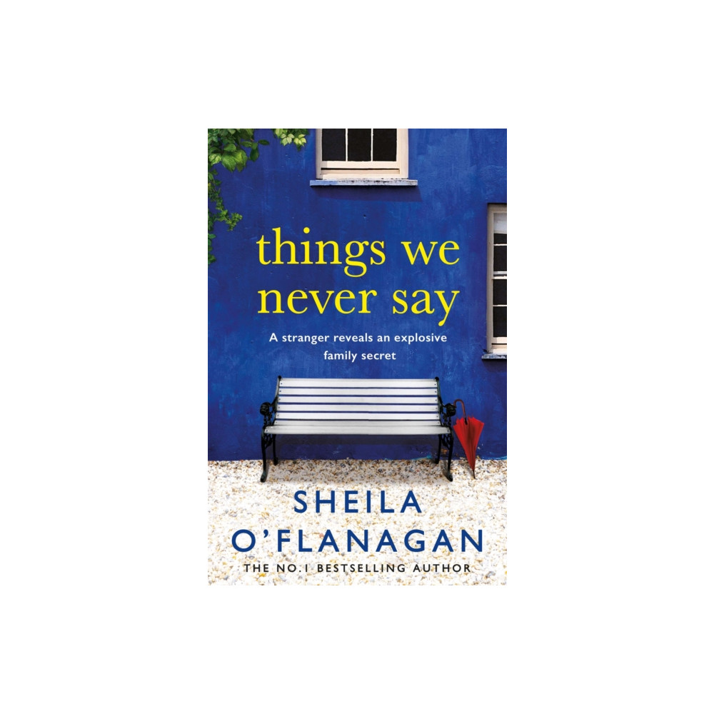 Produktbild för Things We Never Say (häftad, eng)