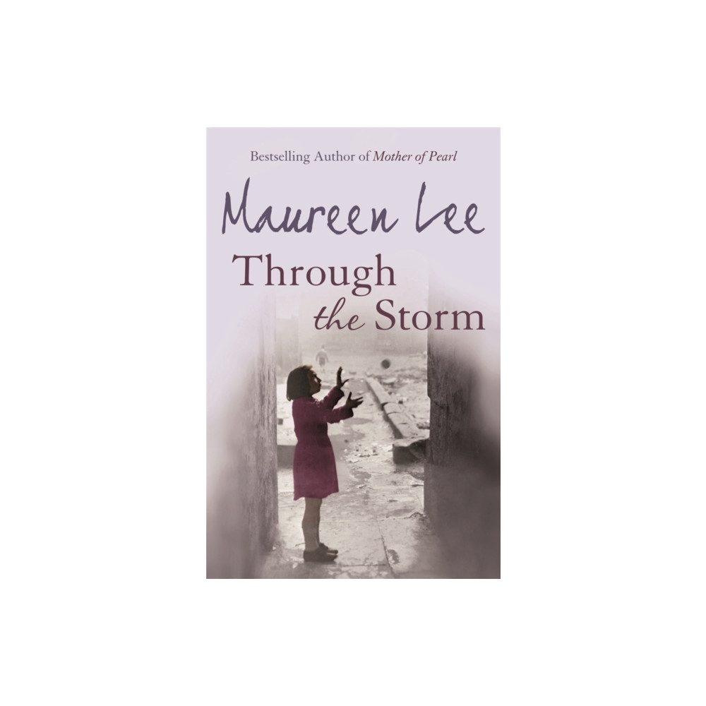 Produktbild för Through The Storm (häftad, eng)