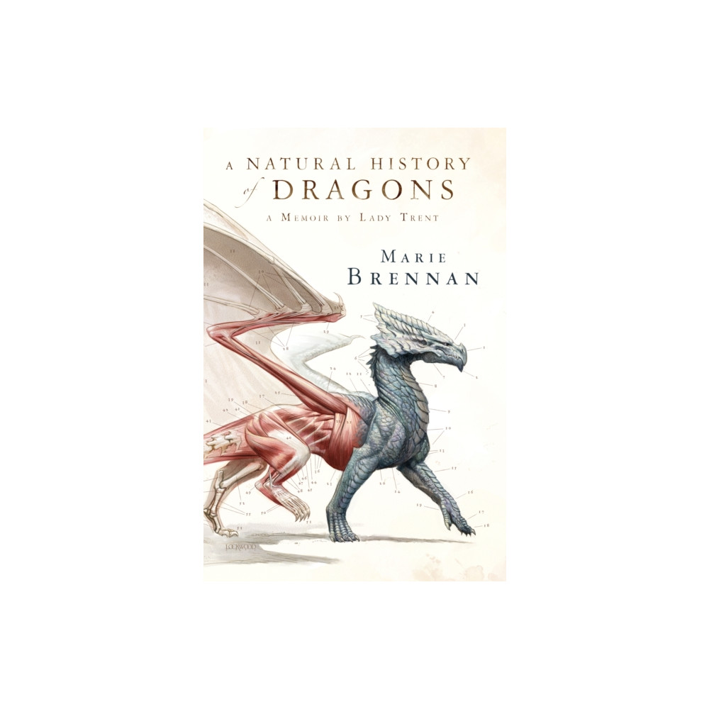 Produktbild för A Natural History of Dragons (häftad, eng)