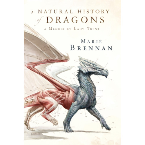 Tor Publishing Group A Natural History of Dragons (häftad, eng)
