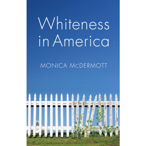 John Wiley And Sons Ltd Whiteness in America (häftad, eng)