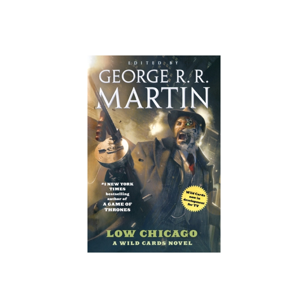 Produktbild för Low Chicago (häftad, eng)