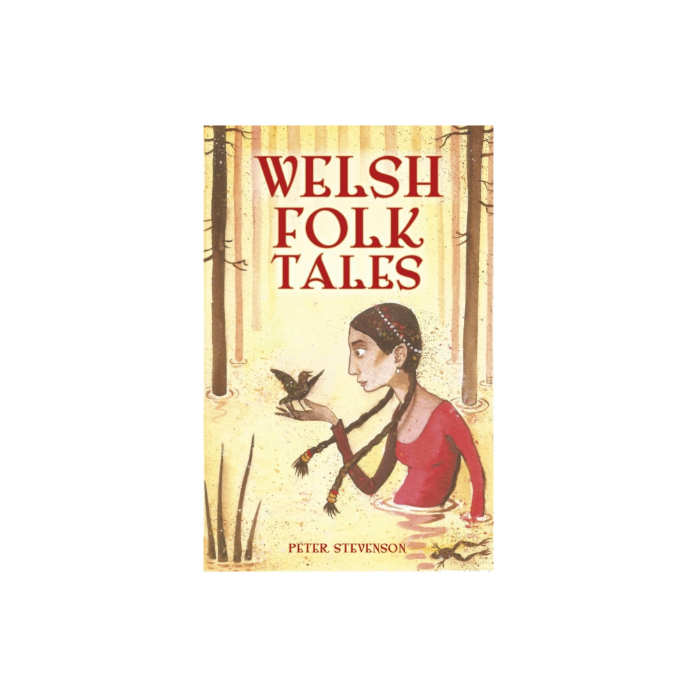 Produktbild för Welsh Folk Tales (inbunden, eng)