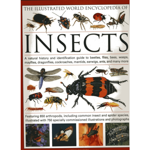 Anness publishing The Illustrated World Encyclopaedia of Insects (inbunden, eng)