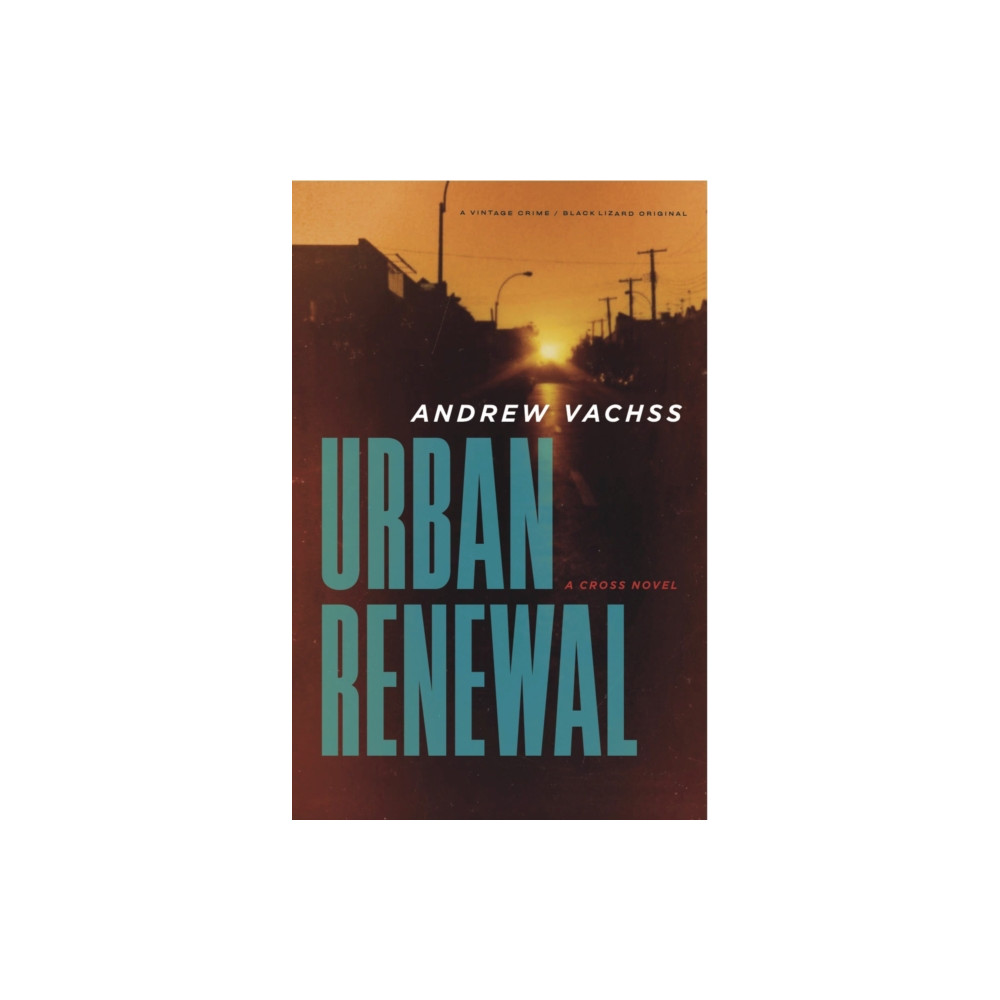 Produktbild för Urban Renewal (häftad, eng)