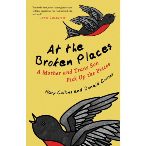 Beacon Press At the Broken Places (häftad, eng)