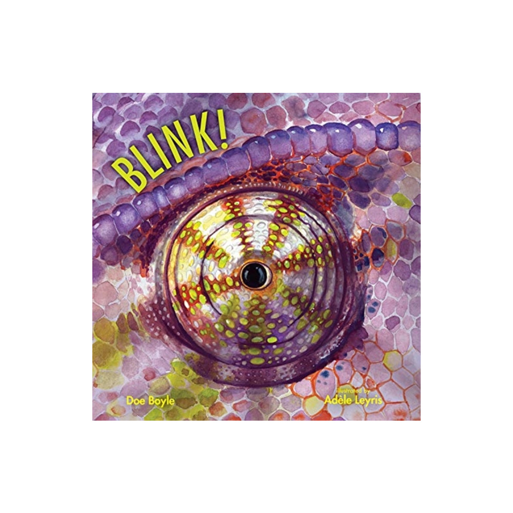 Produktbild för BLINK (inbunden, eng)
