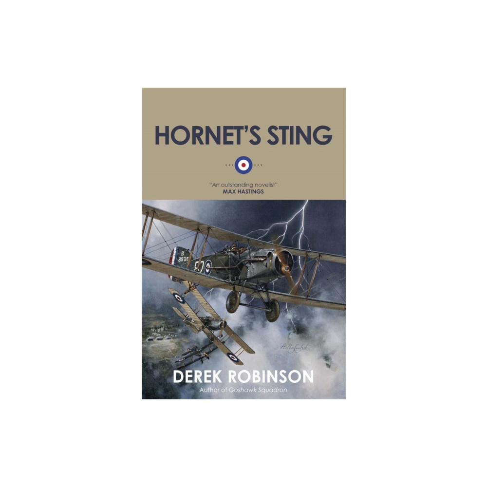 Produktbild för Hornet's Sting (häftad, eng)