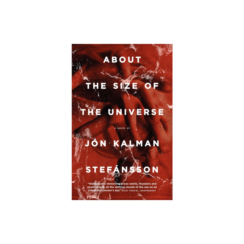 Produktbild för About the Size of the Universe (häftad, eng)