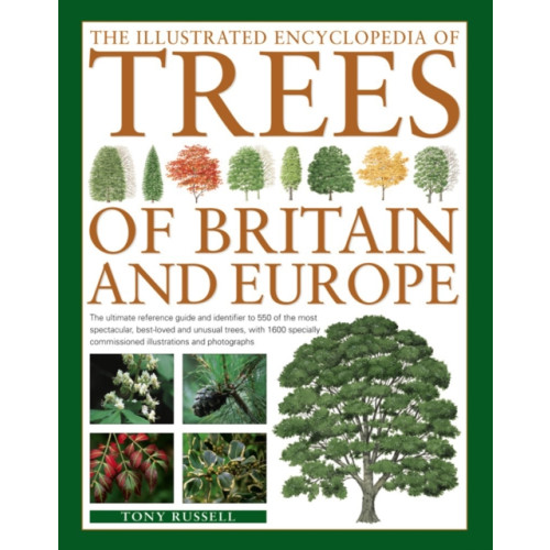 Anness publishing The Illustrated Encyclopedia of Trees of Britain and Europe (häftad, eng)