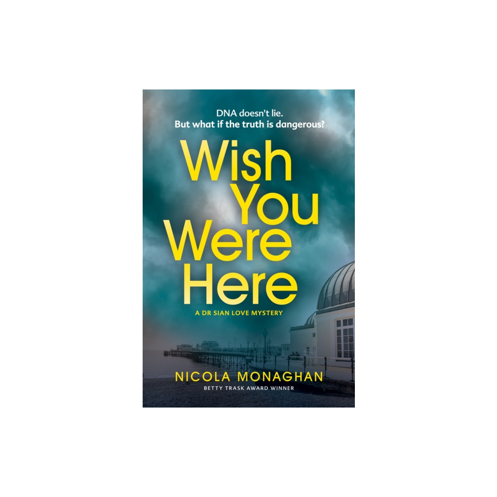 Produktbild för Wish You Were Here (häftad, eng)