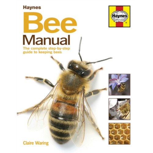 Haynes Publishing Group Bee Manual (inbunden)