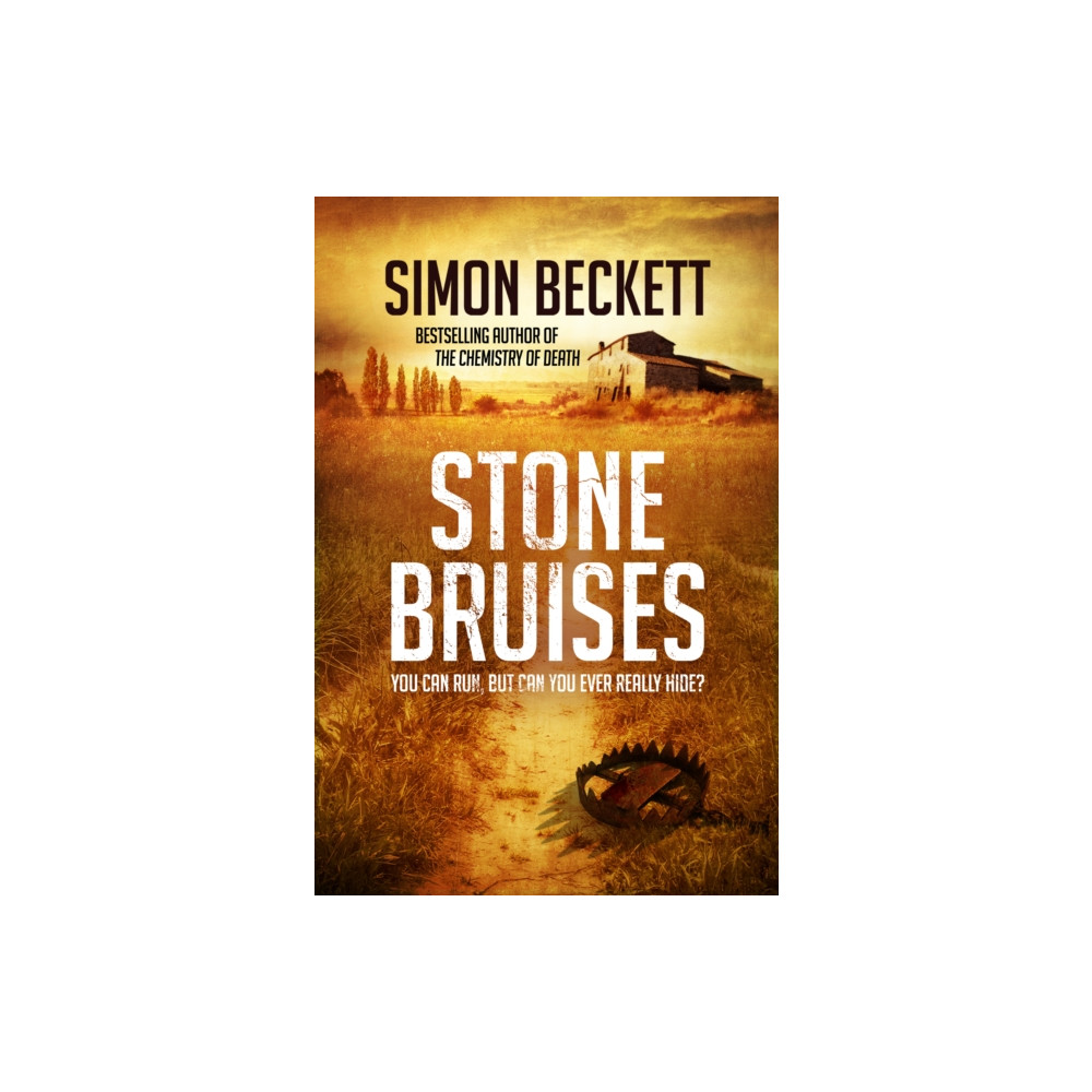 Produktbild för Stone Bruises (häftad, eng)