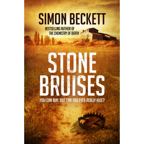Transworld publishers ltd Stone Bruises (häftad, eng)