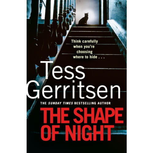Transworld publishers ltd The Shape of Night (häftad, eng)