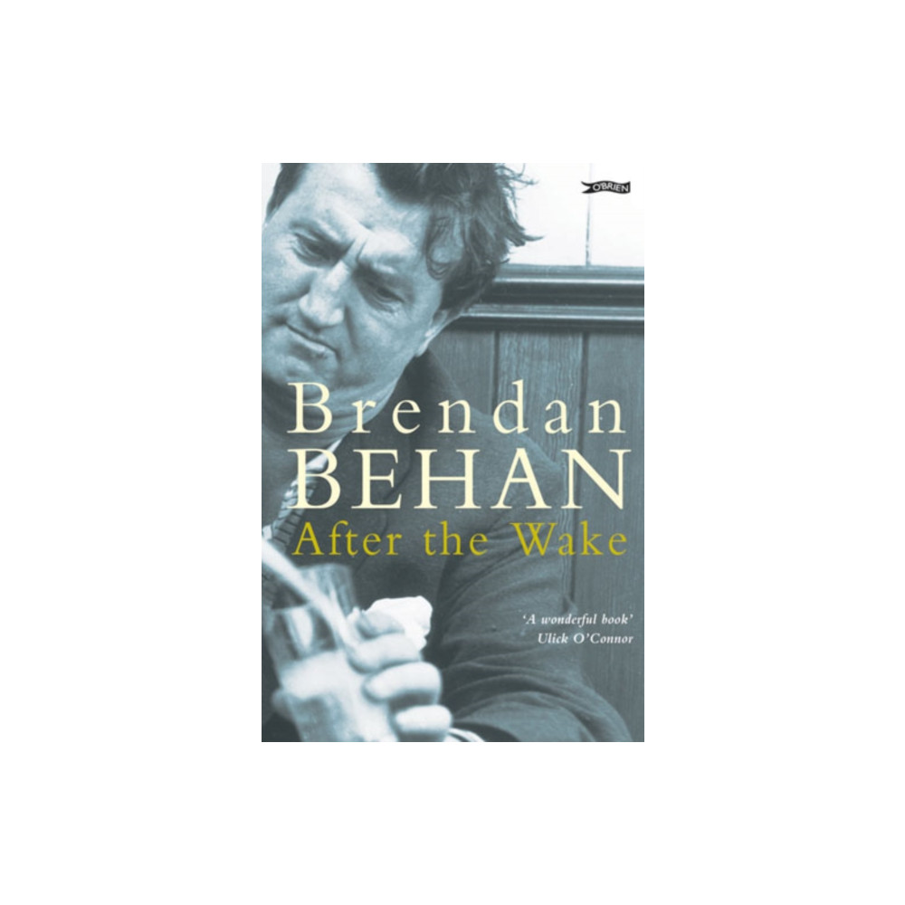 Produktbild för After The Wake (häftad, eng)