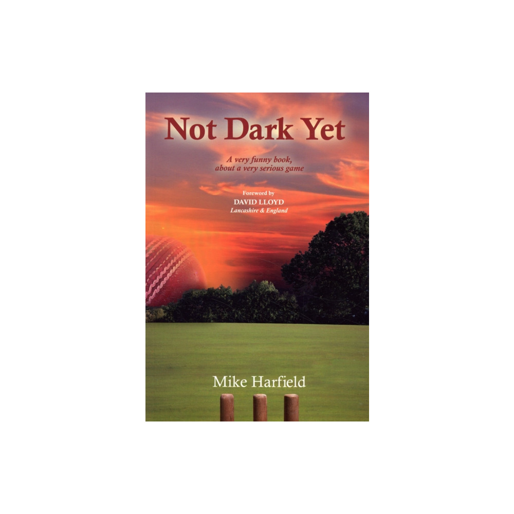 Produktbild för Not Dark Yet (häftad, eng)