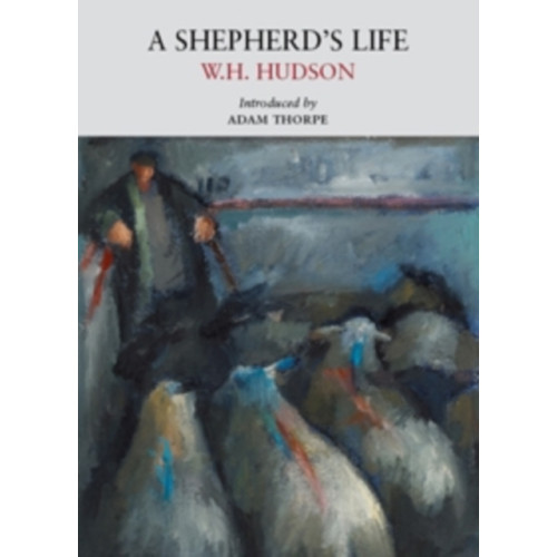 Little Toller Books A Shepherd's Life (häftad, eng)