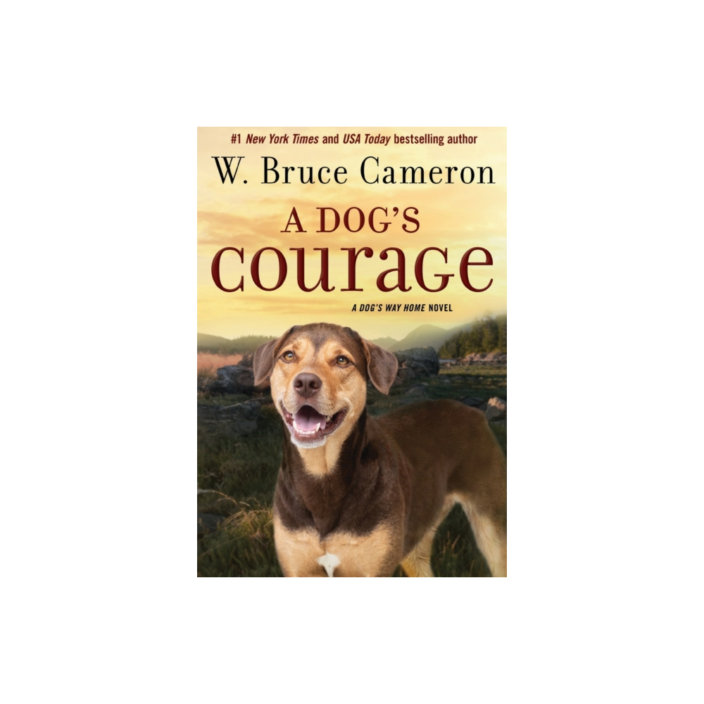 Produktbild för A Dog's Courage (häftad, eng)
