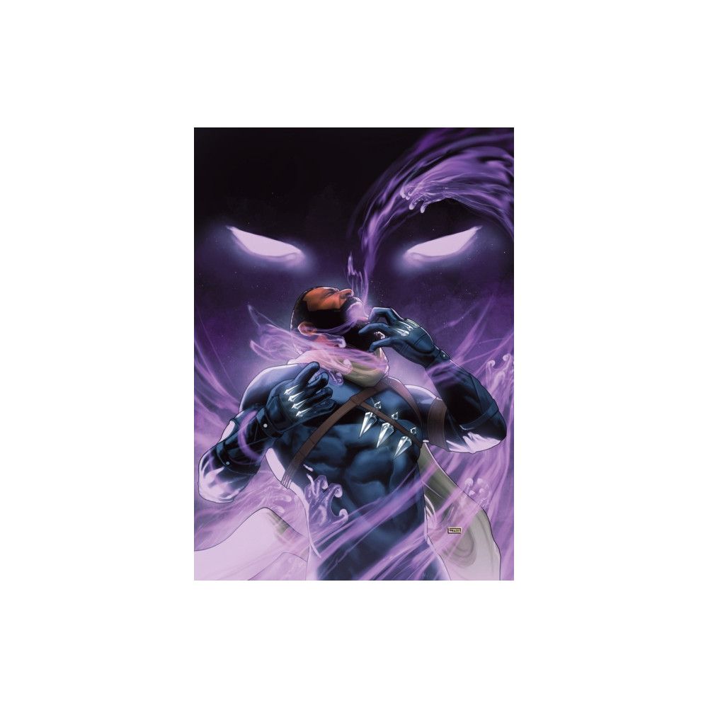 Produktbild för Black Panther by Eve L. Ewing: Reign At Dusk Vol. 2 (häftad, eng)