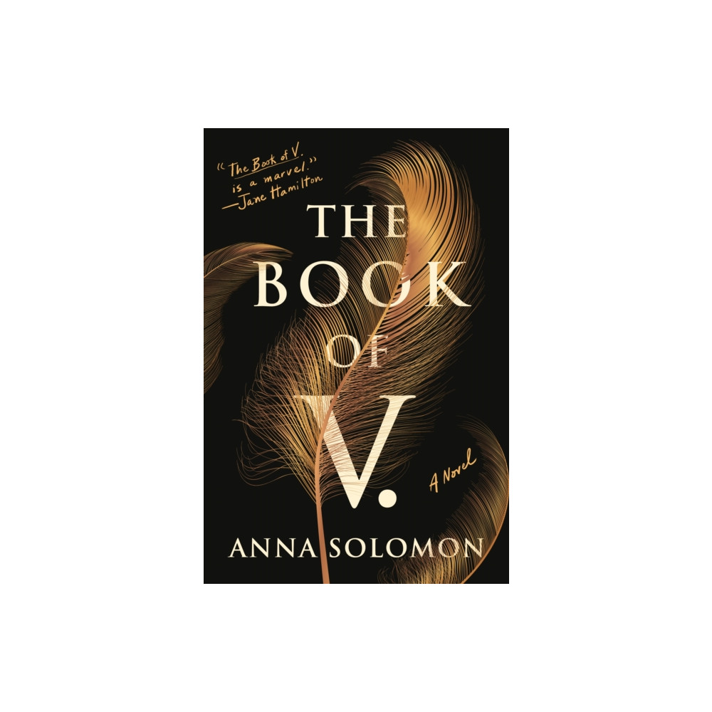 Produktbild för The Book of V. (häftad, eng)