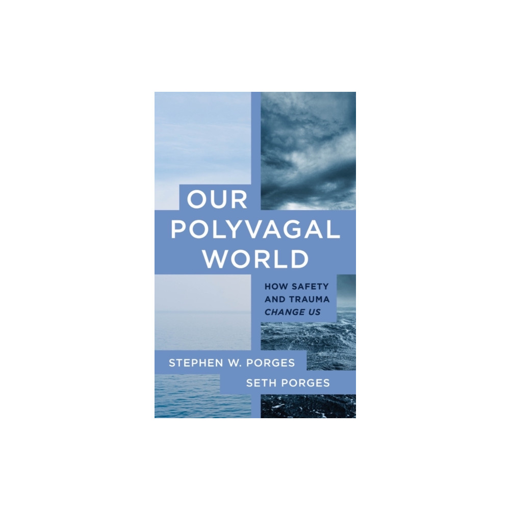 Produktbild för Our Polyvagal World (häftad, eng)