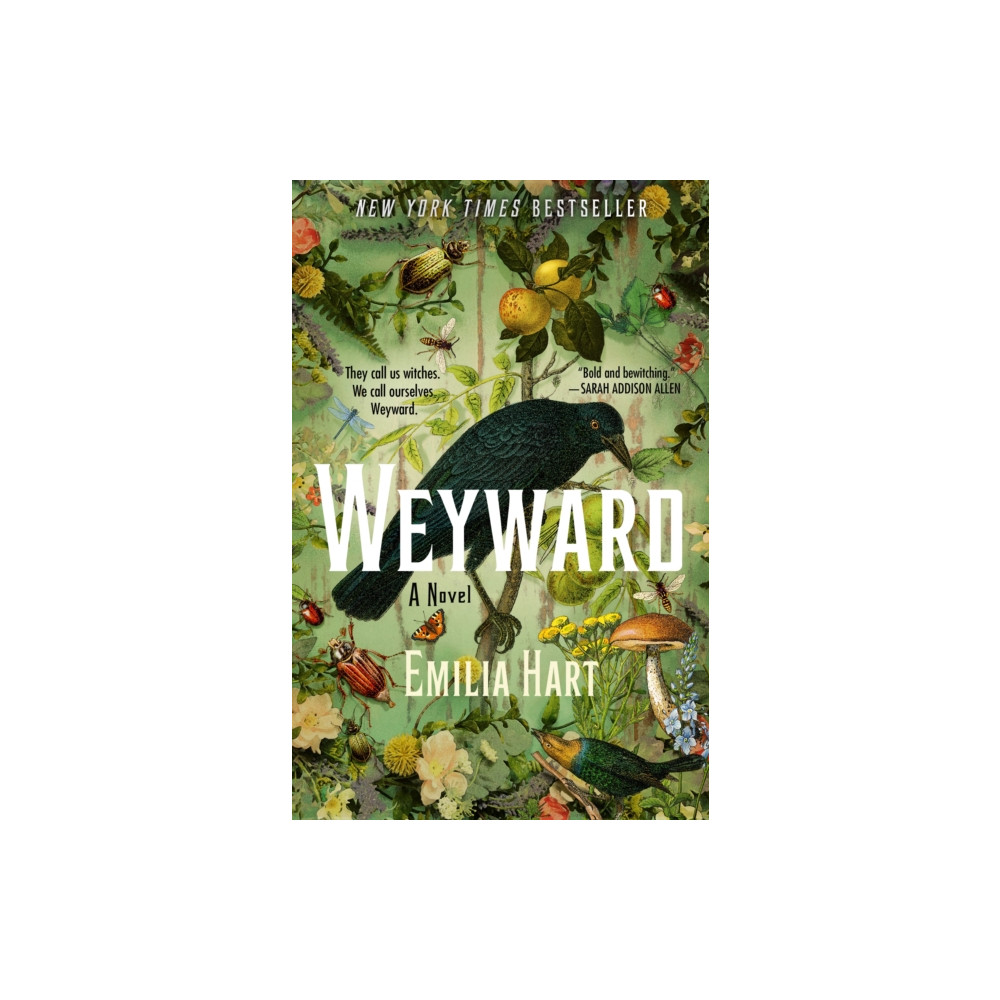 Produktbild för Weyward (häftad, eng)
